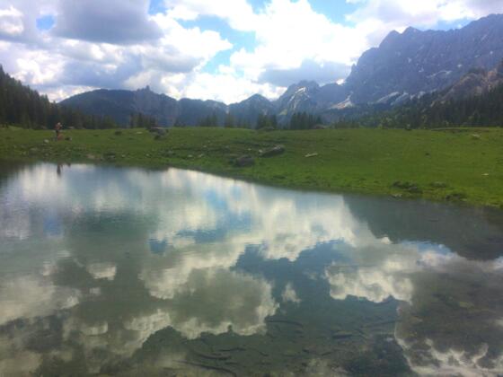 Vereiner Alm