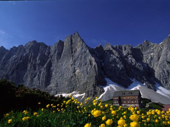 Falkenhütte