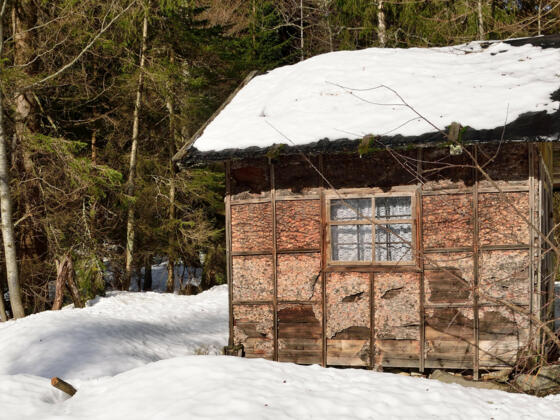 Hütte kurz vor der Abzweigung auf den Lusensteig