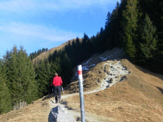 Gipfelblick