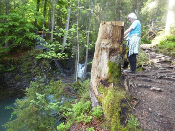 Vor der Naturbrücke
