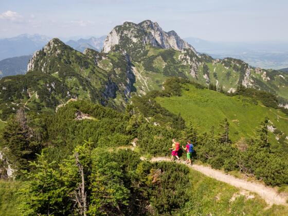 Aussichtsreich: Der Gratweg zur Benediktenwand.