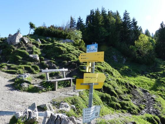 Am Abzweig links Wettersteinkalk, rechts Partnach-Formation