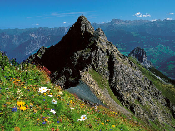 Schwarzhorn