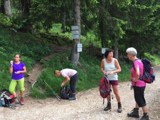 Hier biegt man von dem breitem Aufstiegsweg zum Brunnenkopf nach rechts Richtung Pürschling ab