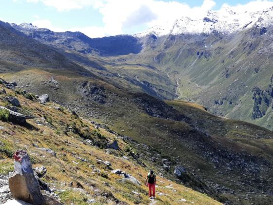 Blick in den Talgrund zum Naviser Jöchl.