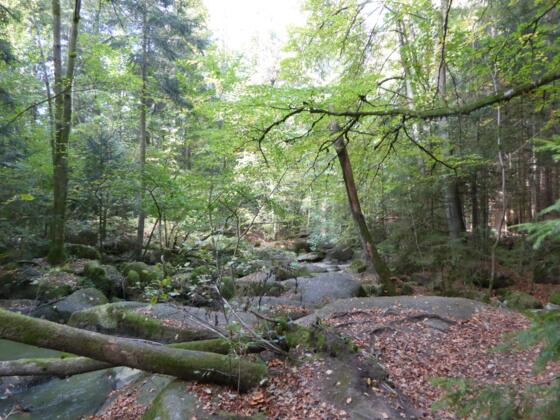 Höllbachtal