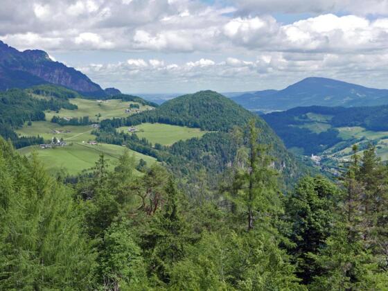 Blick auf Ettenberg