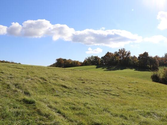 Schlossbergsattel in der Sonne