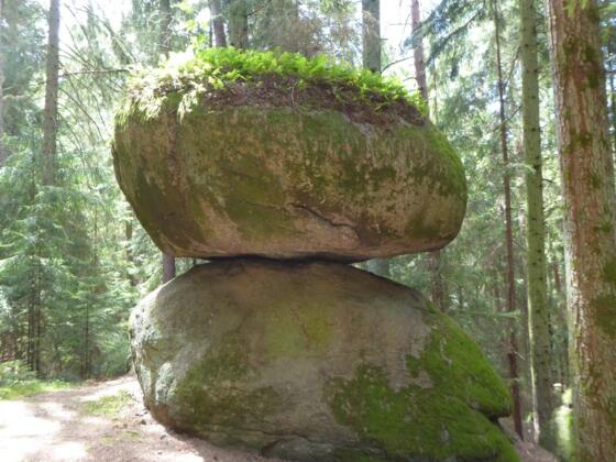 Schwammerlstein