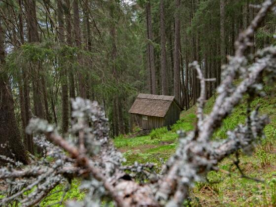 Bruderhüsli im Dalaaser Wald
