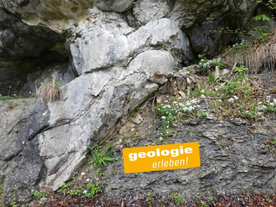 Alpiner Muschelkalk (links) - Überschiebungsbahn - Oberjura-Gesteine (rechts)