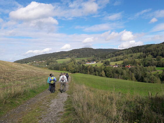 Weg von Maierhof nach Gneißen - im Hintergrund die Zeller Höhe