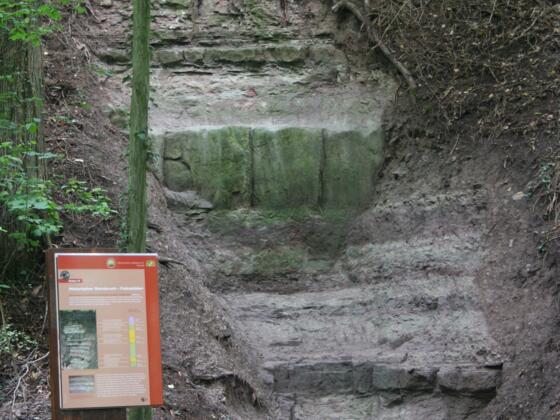 Station 10: Historischer Steinbruch (Paläoböden) - Bodenprofil