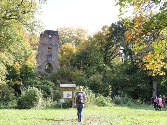Die Ruine Speckfeld - ein beliebter Platz für eine Rast