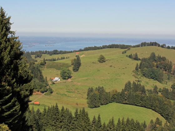 Grassauer Almen von oben