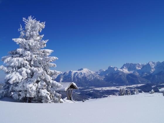 Skitour auf den Wank