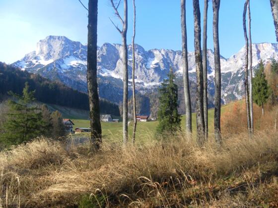 am Südrücken mit Blick zur Untersberg Südwand