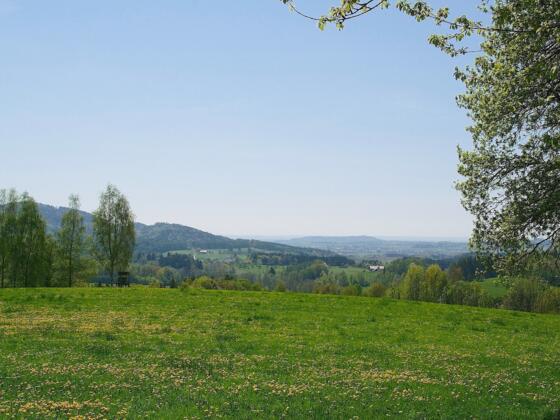 Blick von Notzling zum Bogenberg