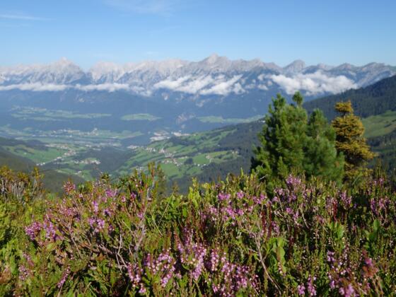 Inntalblick