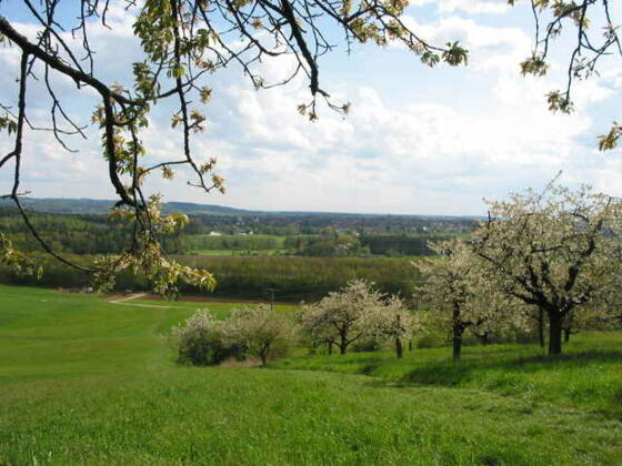 Schöne Aussicht vom Hegnenberg