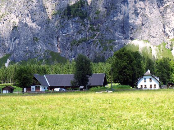 Polsterstüber 618m