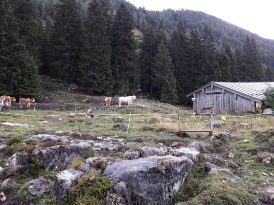Weißensteinalm
