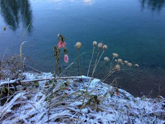 zzz_nicht mehr verwenden!!! Gästehaus Tauscher am Haldensee