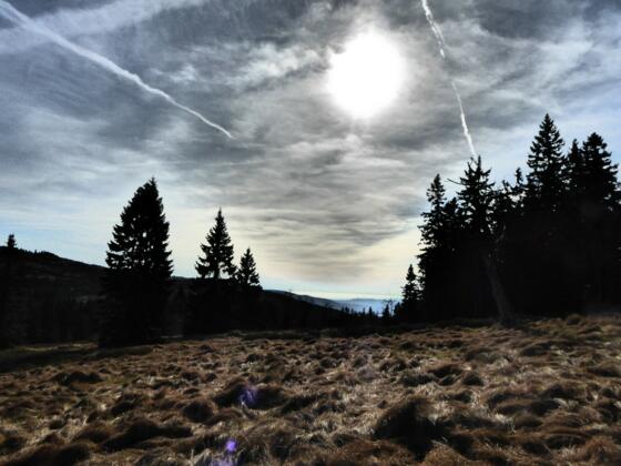 Jährlingsschachten