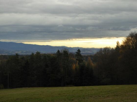 Blick in den Vorderen Bayerischen Wald