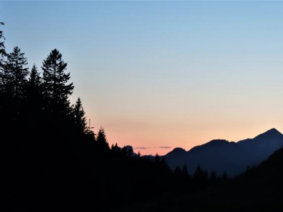 Ackernalm Blick