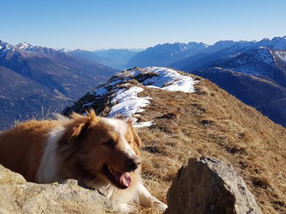 Blick Richtung Lienzer Dolomiten mit den letzten Metern zum Gipfel