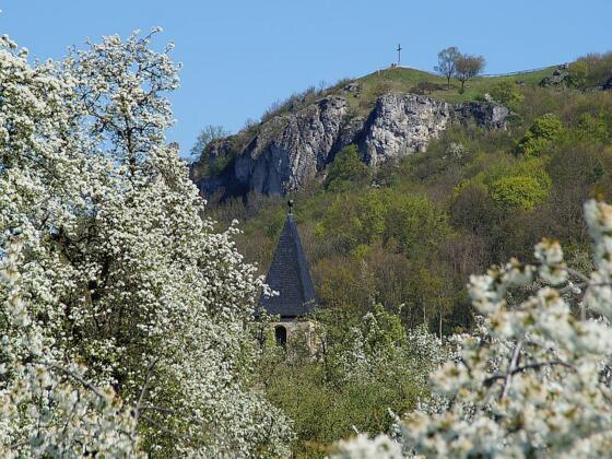 Blick zum Walberla im Frühling