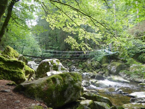 Buchberger Leite - Hängebrücke