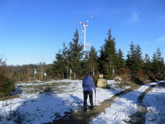 am Generationenwald