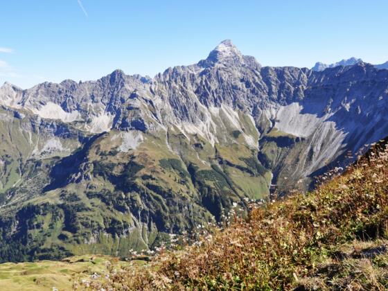 Panorama mit Hochvogel