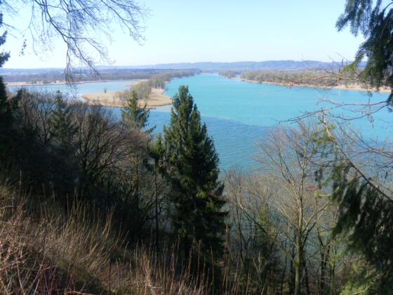 Innsalzachblick