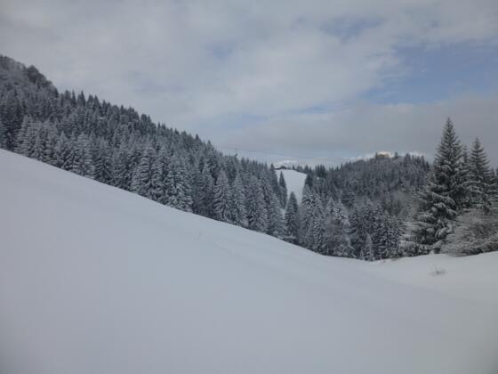 Blick zur Hochsiedel-Alpe