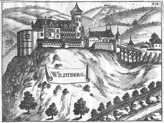 Schloss/Ruine Wildberg, Stich Vischer