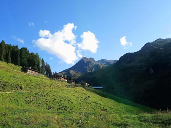Das Rosenjoch, ganz hinten der höchste Punkt, im Vordergrund die Vorbergalm.