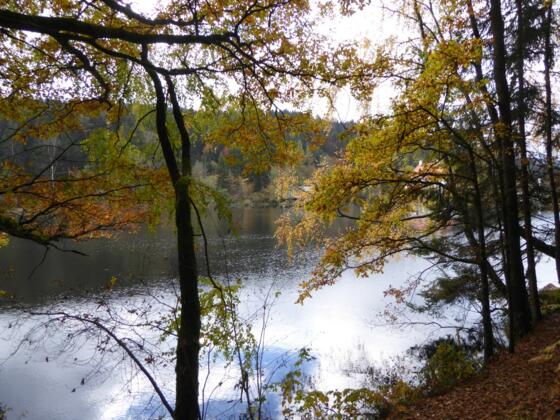 Höllensteinsee