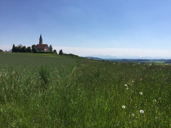 St. Michael, Alxing