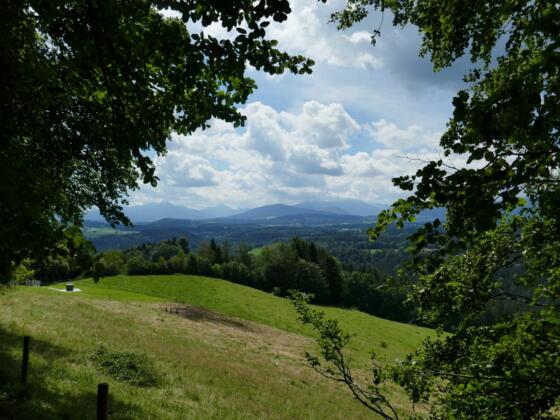 Oberhalb von Fentberg öffnet sich ein schöner Ausblick auf das Mangfallgebirge.