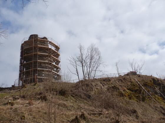 Burg Reichenstein