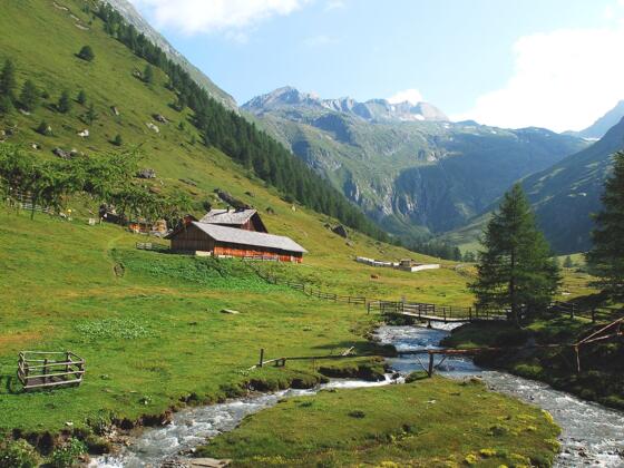Steineralm, Blick auf die Obere Steineralm, dahinter die Wellachköpf