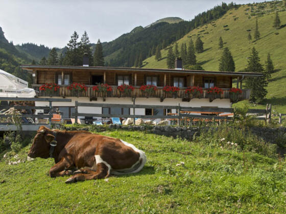 Wuhrsteinalm