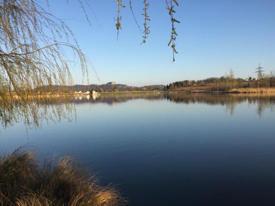 Goldbergsee