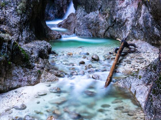 Treibholz in der Klamm.
