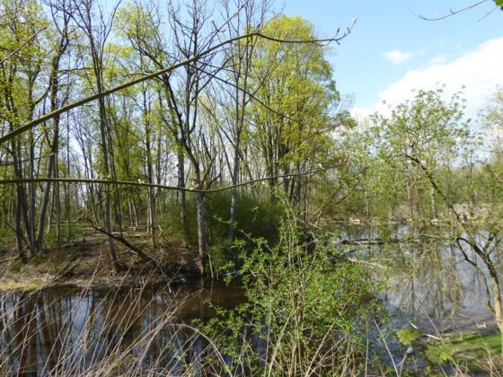 verschwundenes Wasserschloss Einhausen