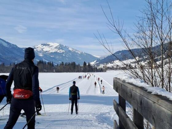 Haus Schedle Ferienwohnung